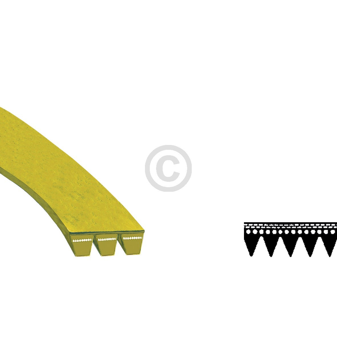 10020412_m10.jpg