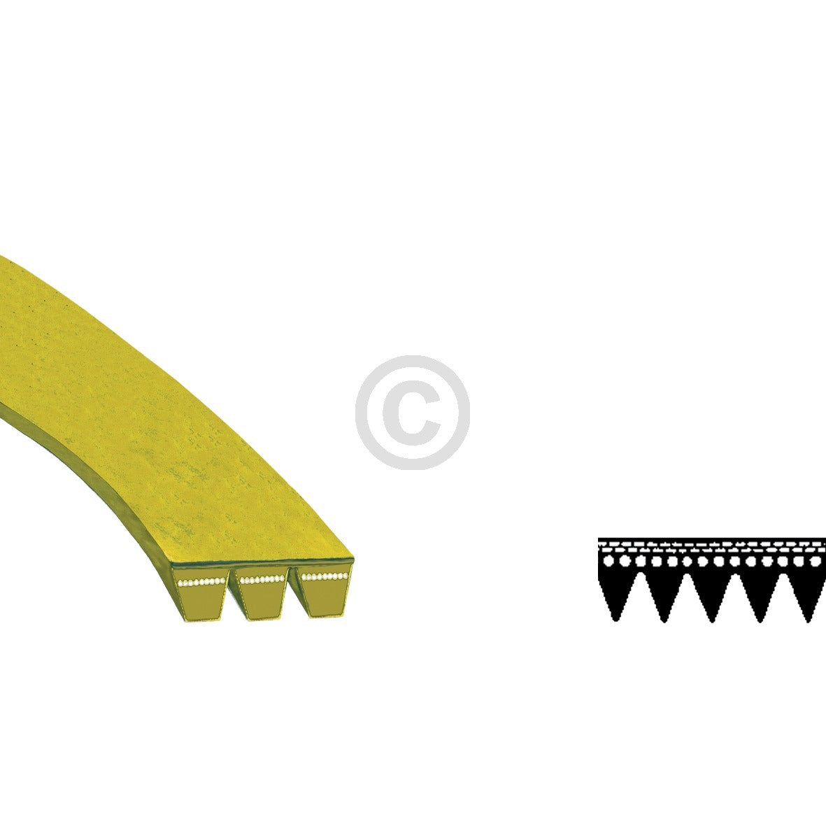 10000390_m10.jpg