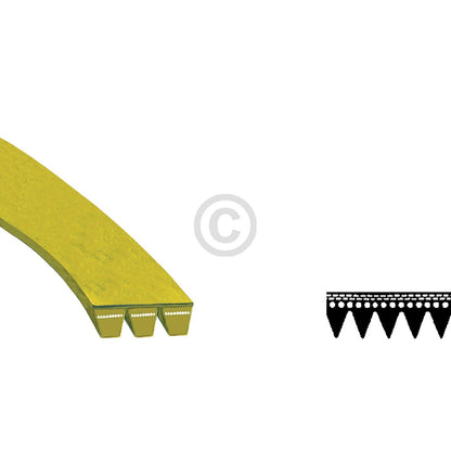 10000398_m10.jpg