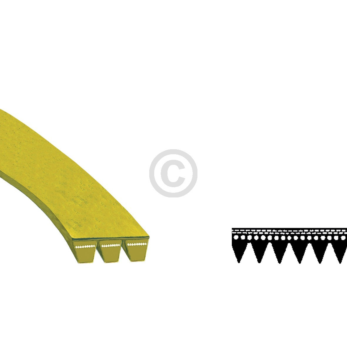 10001557_m10.jpg
