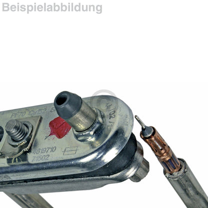10001767_m10.jpg