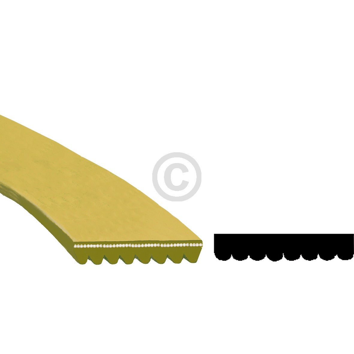 10002564_m10.jpg