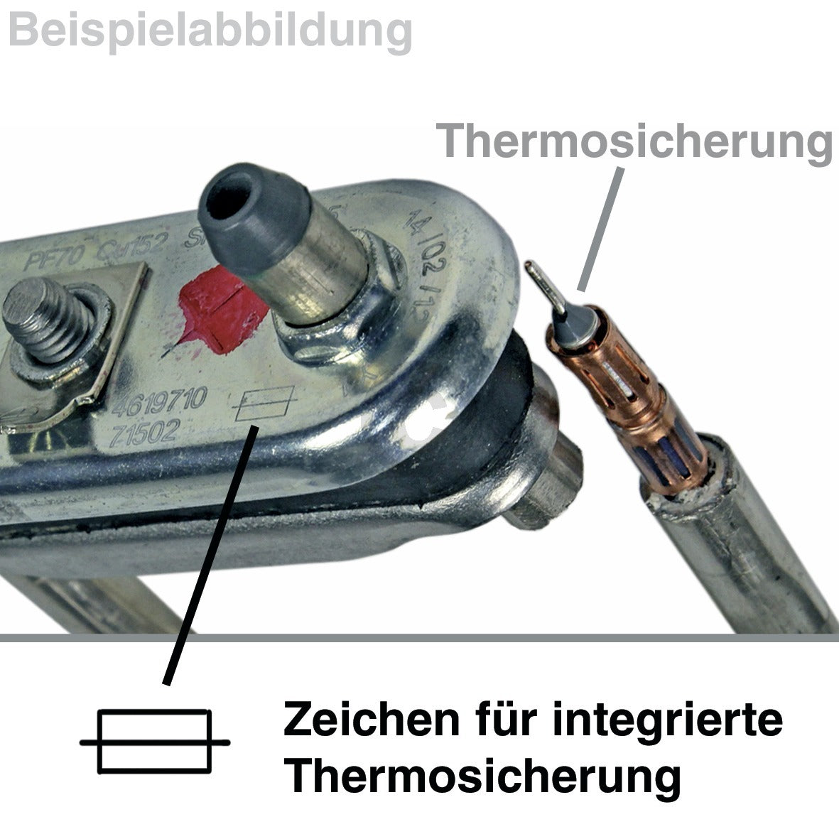 10002602_m10.jpg