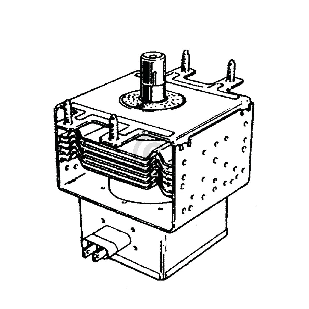 10004788_m10.jpg