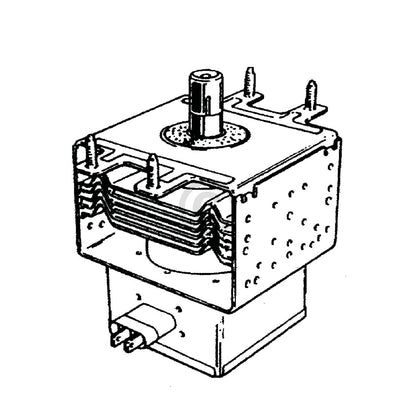 10004788_m10.jpg