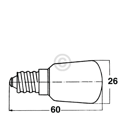 10004889_m10.jpg