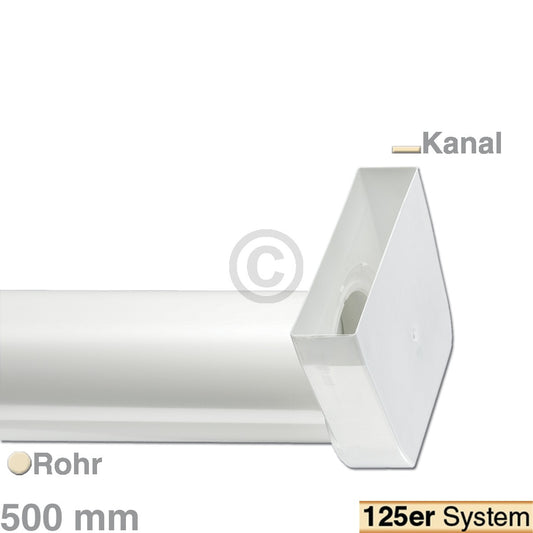 10006392.jpg