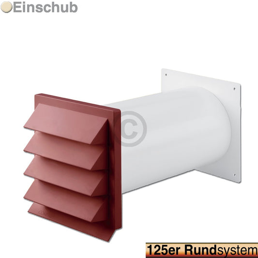 10006406.jpg