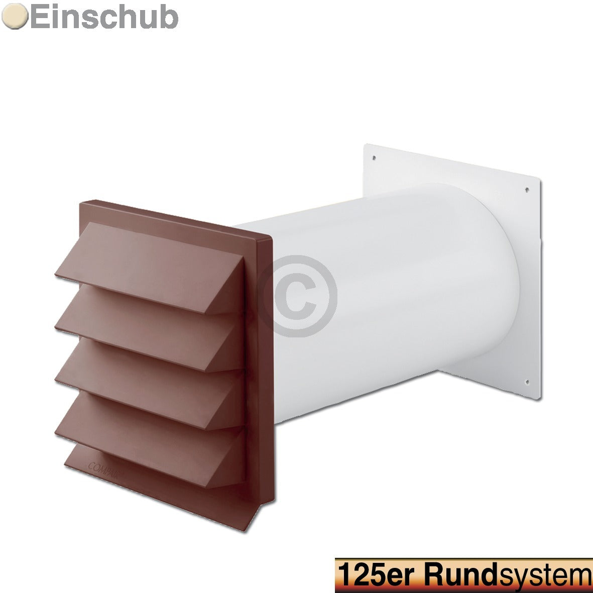 10006407.jpg