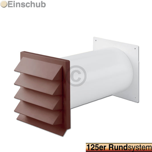 10006407.jpg