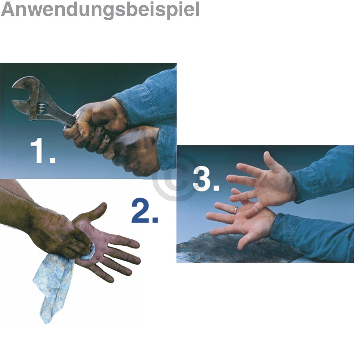 10008041_b10.jpg