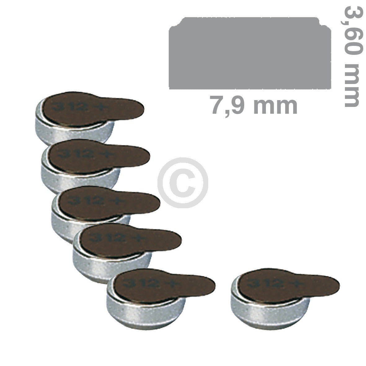 10009731.jpg