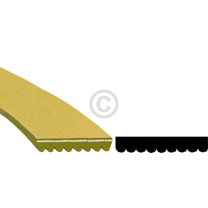 10016295_m10.jpg