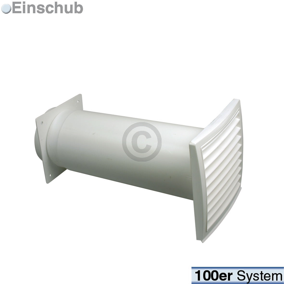 10020113.jpg