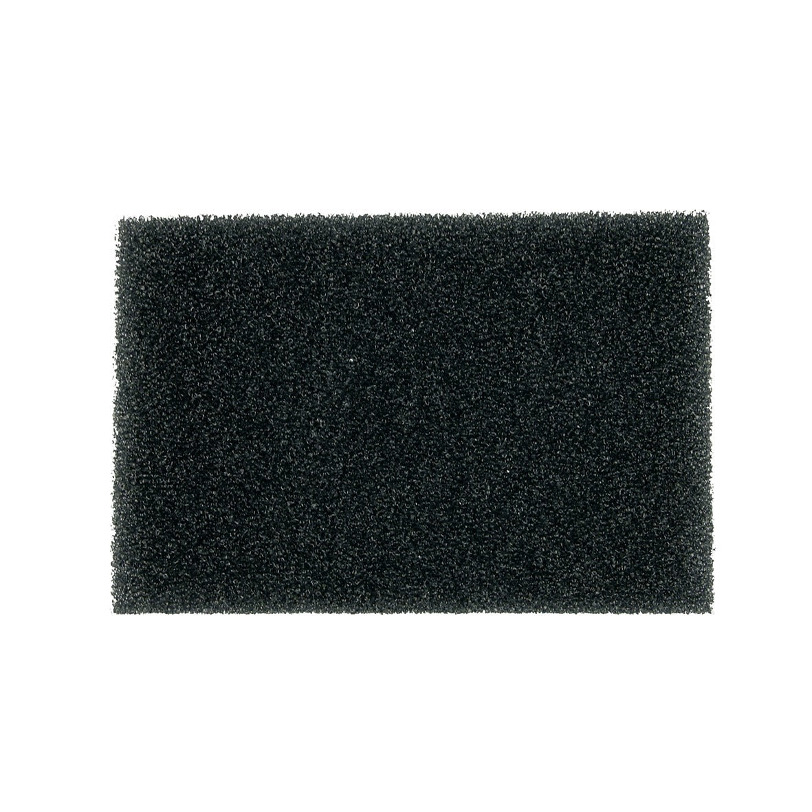 10021283.jpg