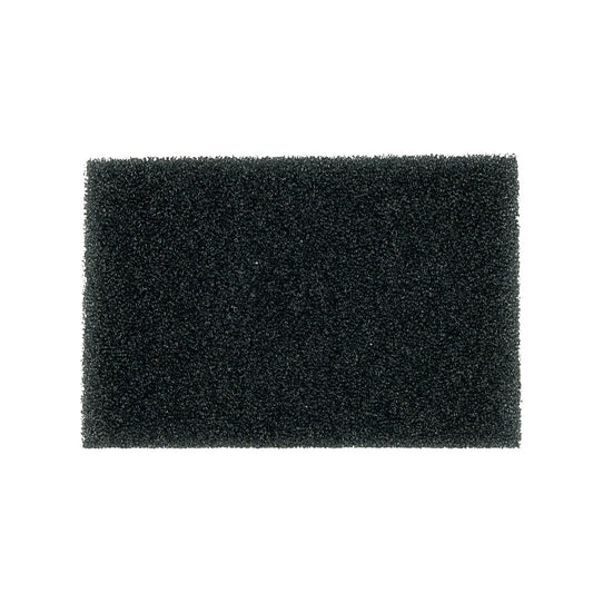 10021283.jpg