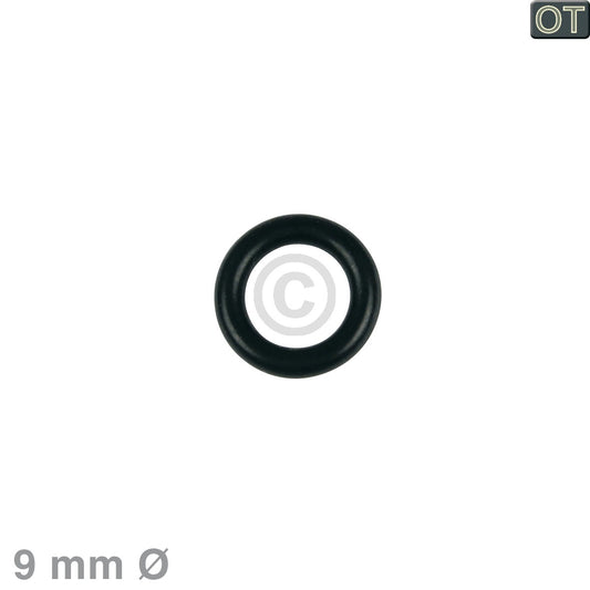 10027304.jpg