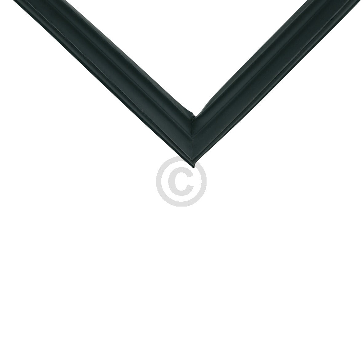 10030902_b11.jpg