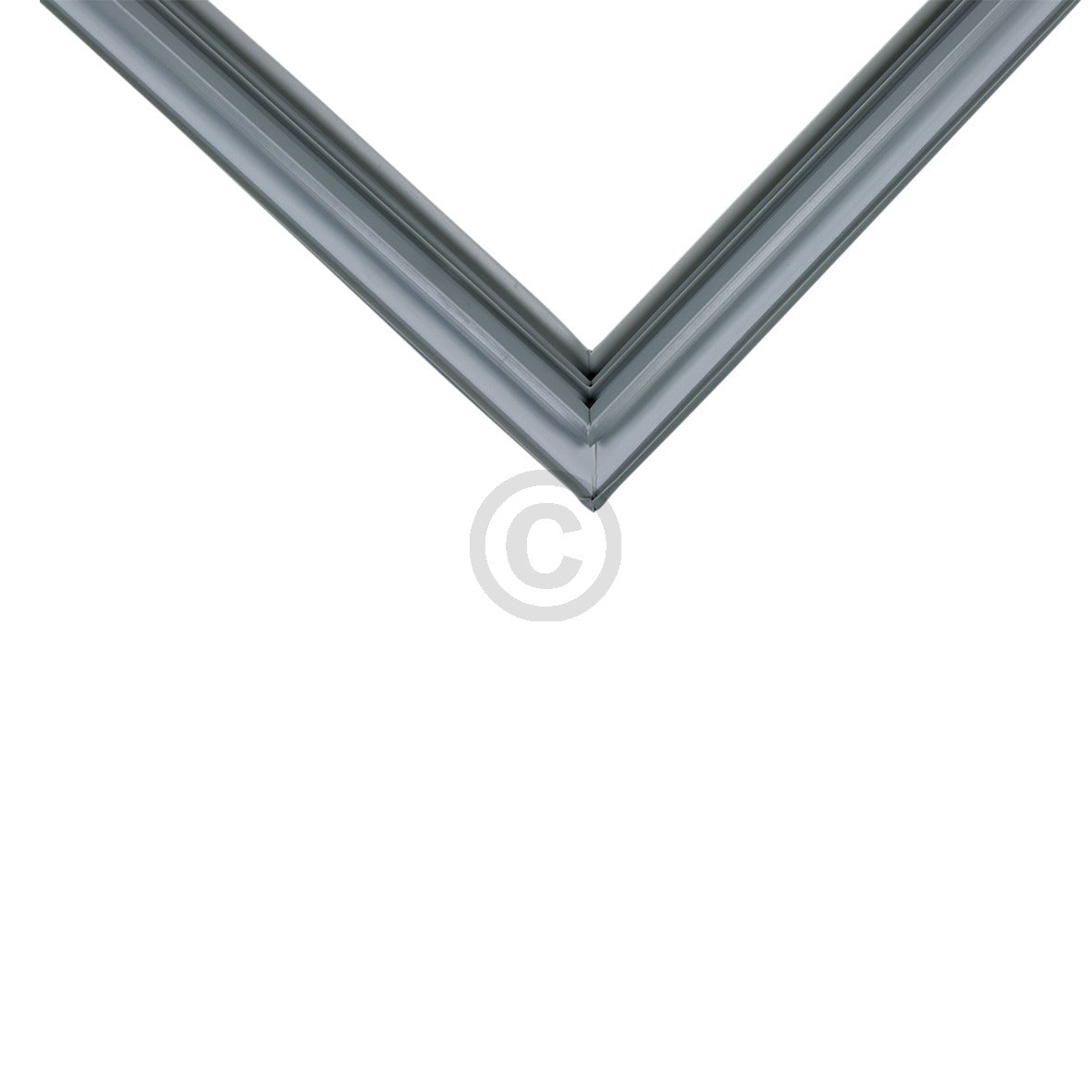 10031070_b10.jpg