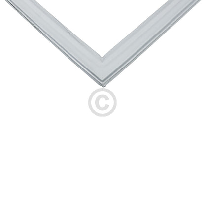 10031159_b10.jpg