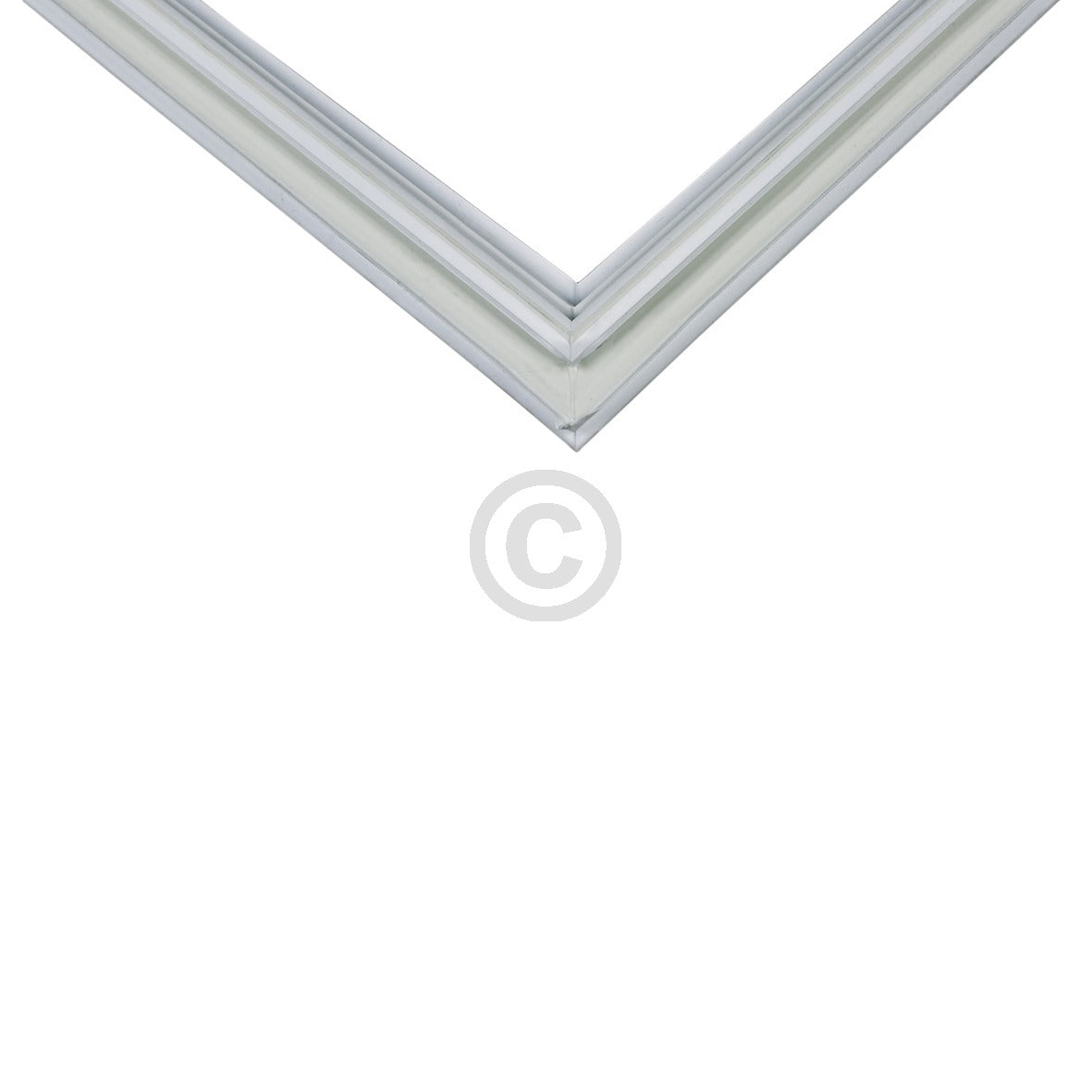 10031159_b11.jpg