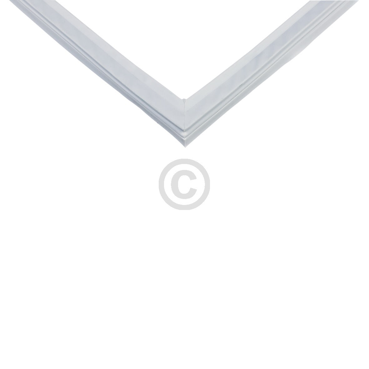 10031165_b10.jpg