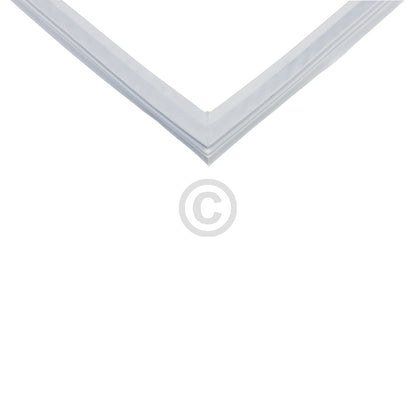 10031165_b10.jpg