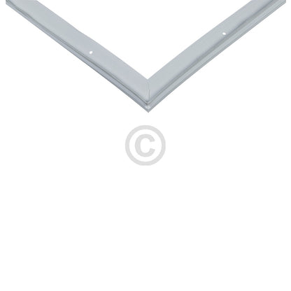 10031165_b11.jpg