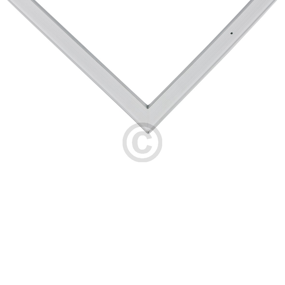 10031580_b11.jpg