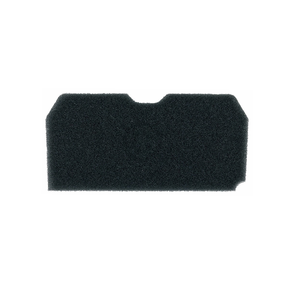 10031915.jpg