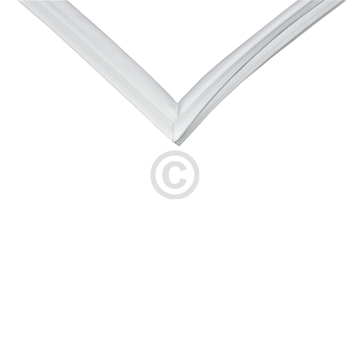10032293_b11.jpg