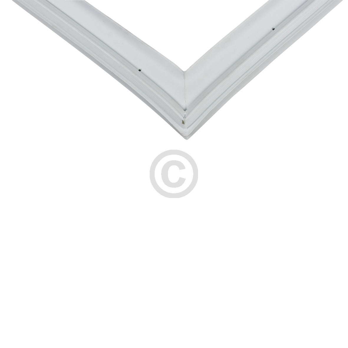 10032478_b10.jpg