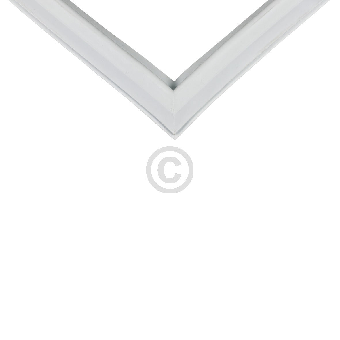 10032478_b11.jpg