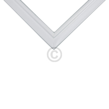 10032679_b10.jpg