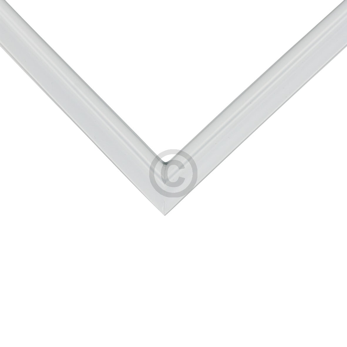 10032910_b10.jpg