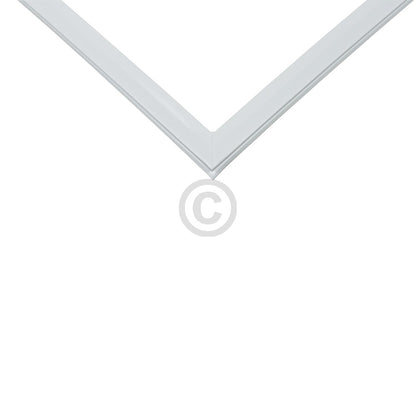 10033548_b10.jpg