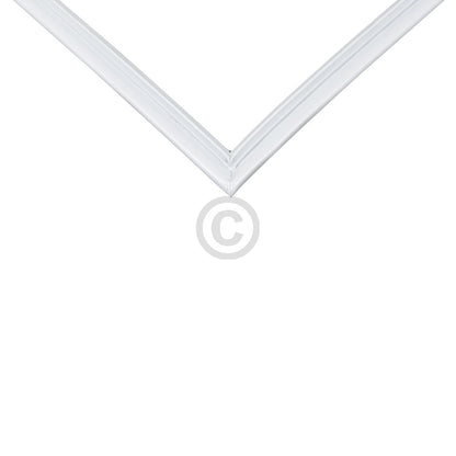 10033548_b11.jpg