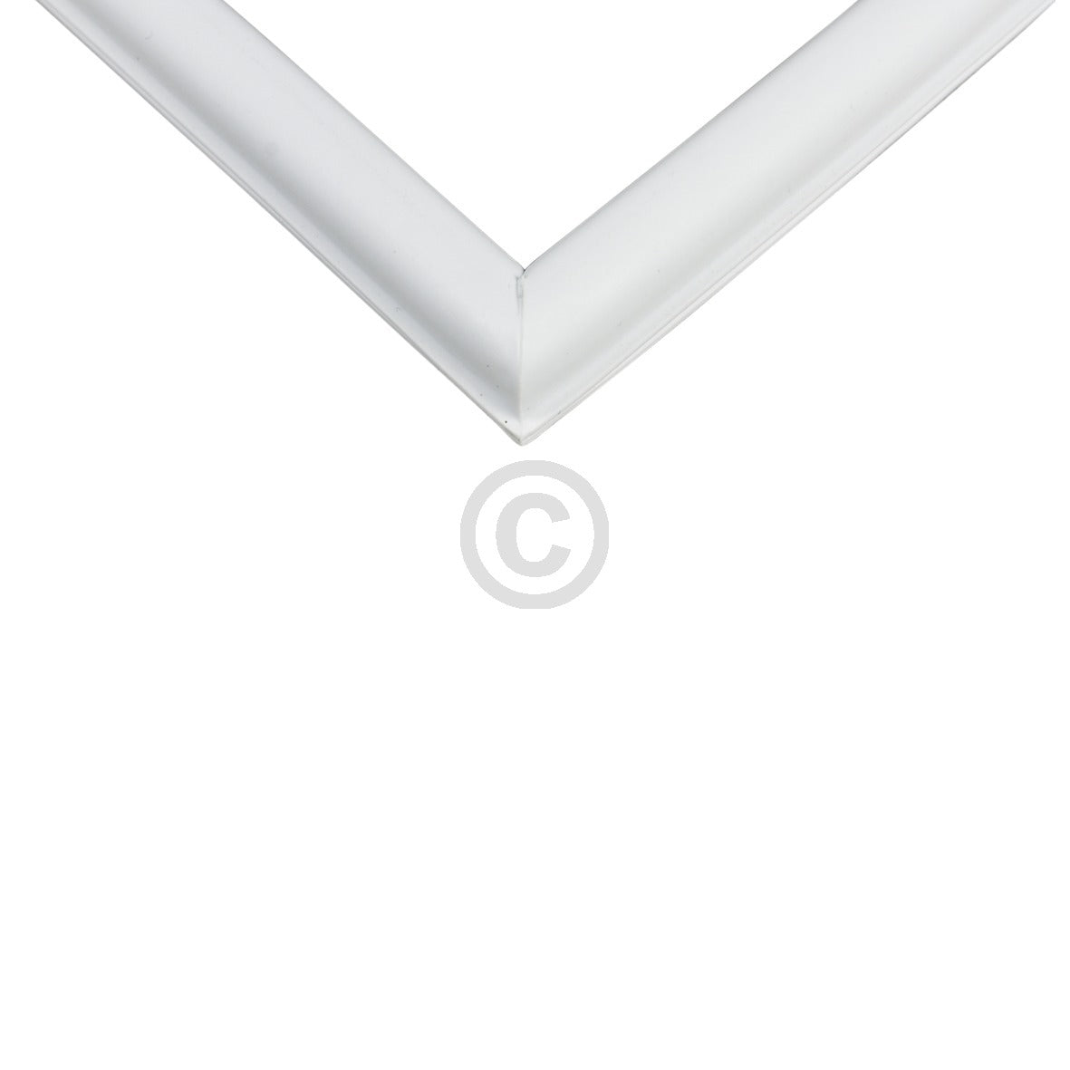 10033555_b10.jpg