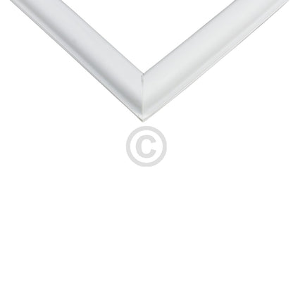 10033555_b10.jpg