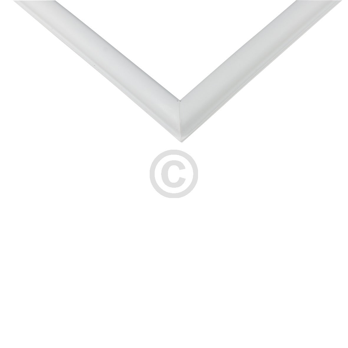 10034290_b10.jpg