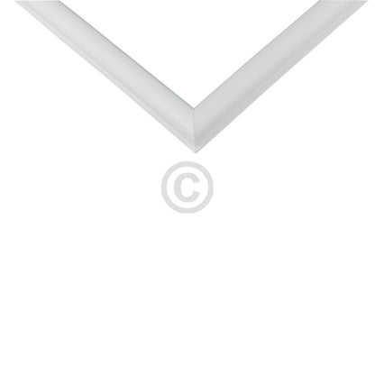 10034290_b10.jpg