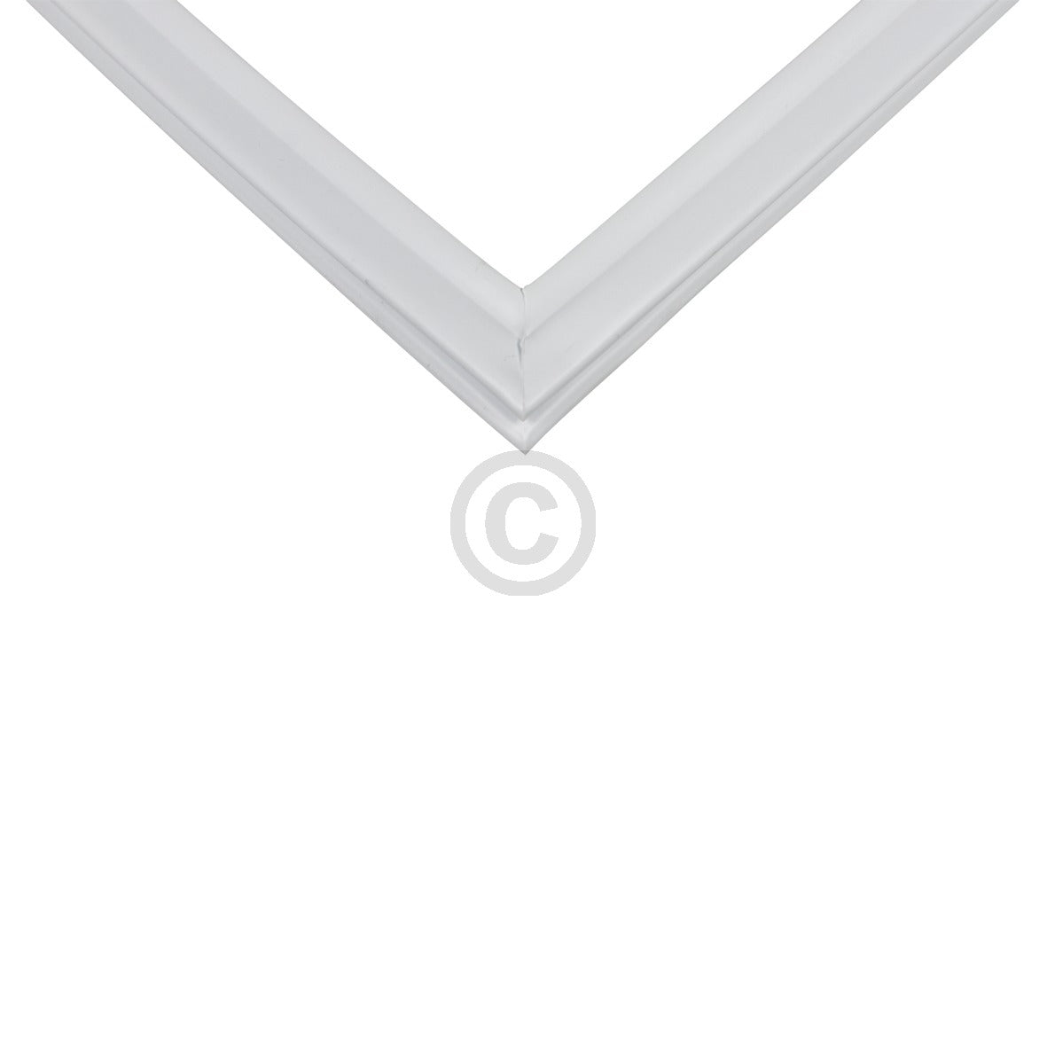 10034298_b10.jpg