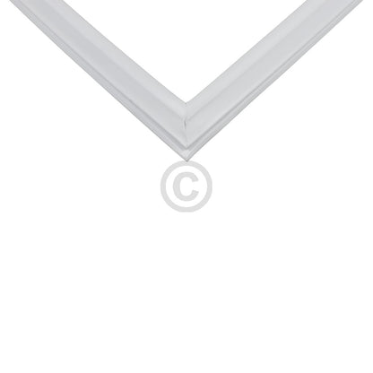 10034298_b10.jpg