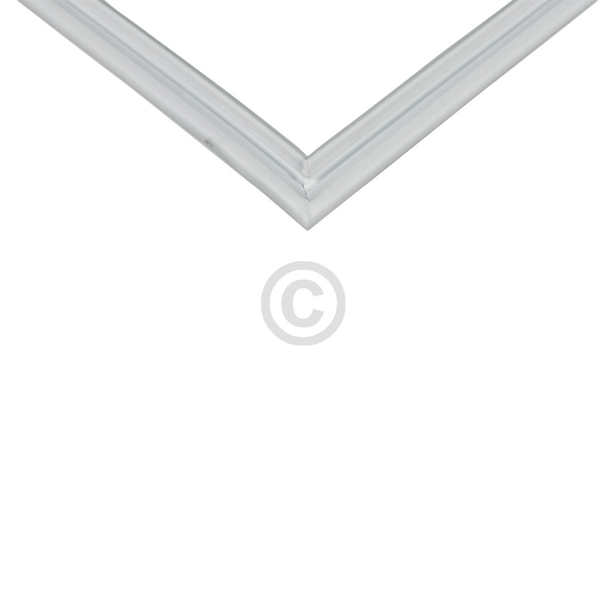 10034298_b11.jpg