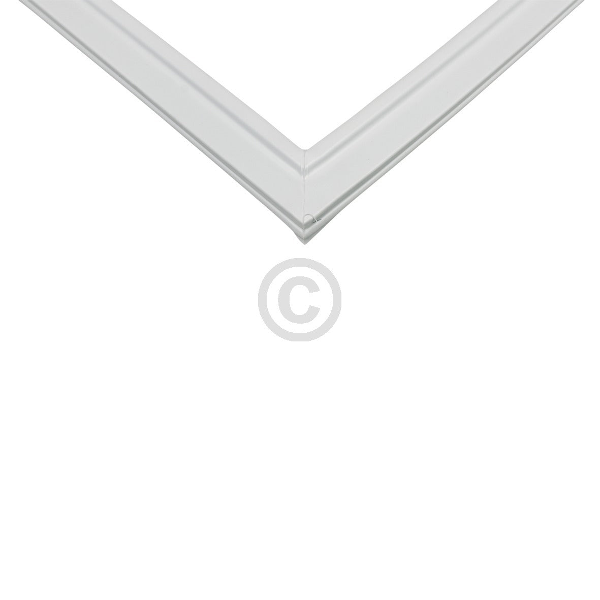 10034303_b10.jpg